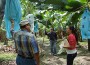 banana grove Tamar Benkazen Koosed interviews banana plantation workers at Finca Tropical S.A. in Honduras