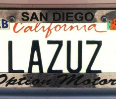 lazus license plate