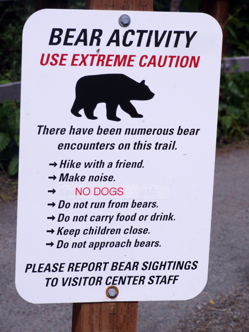 NEW METAL SIGN  ALASKA VERY FUNNY BEAR WARNING ALASKA BOARD OF GAME AND FISH 