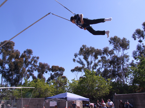 shor bungee purim