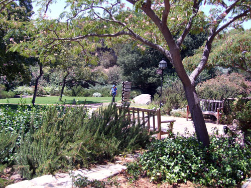 pathways