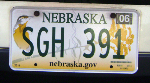 nebraska-bird