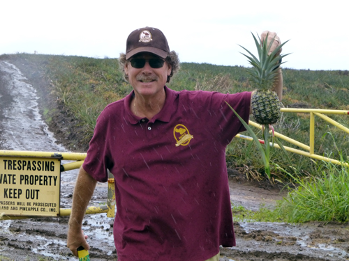 Steve Potter, guide at Maui Gold Pineapple, displays one just picked