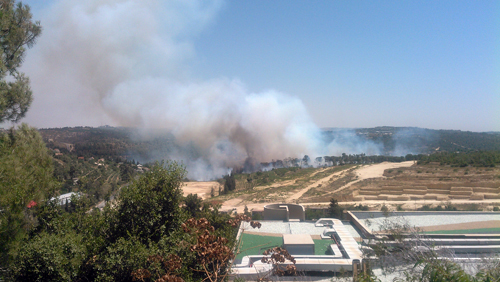Fire near Abu Gosh, June 17, 2014. Photo: Eliyahu Rosenberg / Tazpit News Agency