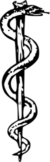 Rod of Asclepius (Wikipedia)
