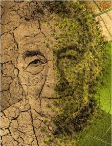"Golda Meir " by S. Brett Kaufman, who explains:  'My Life' the autobiography by Golda Meir was the inspiration for this painting. In it, I try and equate the life of Golda Meir, with the birth of a land that was once dry and barren and is now green and fertile. The image is a combination of assemblage and collage: the dried, cracked ground being the assemblage, and the green fertile ground being the collage. 