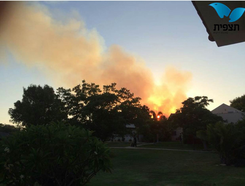 Rocket-caused fires south of Tel Aviv, July 8, 2014