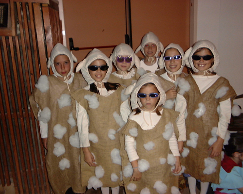 Girls in sheep's clothing