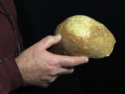 skull~Israel Antiquities Authority