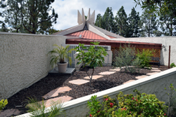 Garden with five of the seven species at Beth Jacob Congregaton