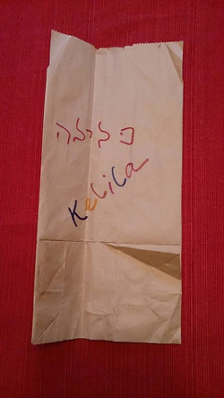 kelila's lunch bag