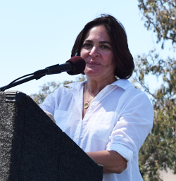 Carolyn Glick, July 26, 2015 (Photo: Donald H. Harrison)