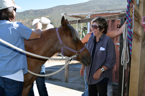 Catherine Hand, left, and volunteers readies a therapy horse at Dream Rider Equestrian Therapy