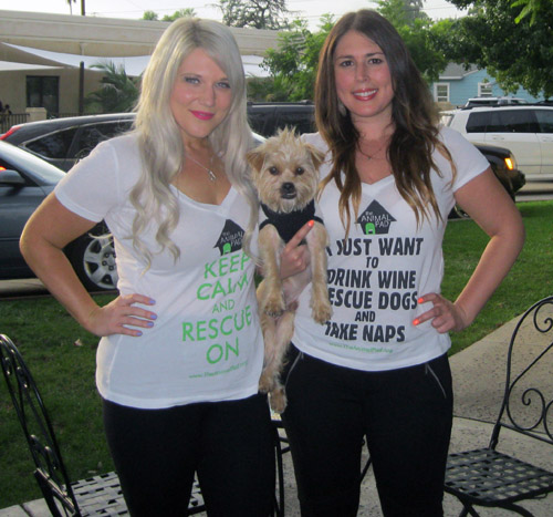 Stephanie Nisan, left, and Rebecca Weinrib are co-founders of The Animal Pad, which rescues and finds homes for all breeds of dogs.