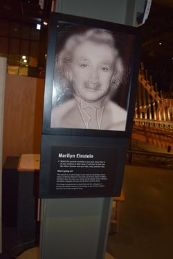 "Marilyn Einstein"