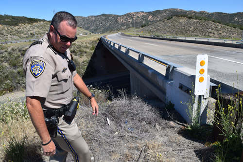 Twenty-person crash site, where State Route 79 passes under Interstate 8