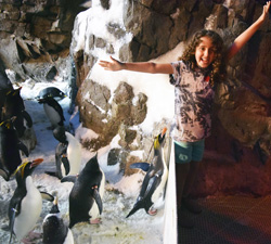 Eden Peres is exultant in the Penguin Encounter at Sea World