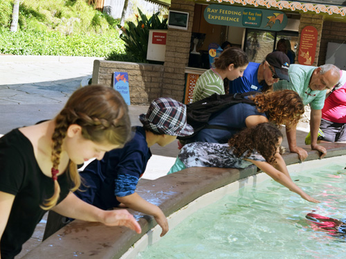 From left, niece Gal Lazar, Sky Masori, daughter Eden Peres, wife Sigal Peres, daughter Maya Peres, Sea World guide Shawn and Yoni Peres.