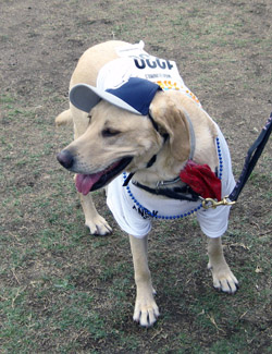 SDHS Walk-Sophie