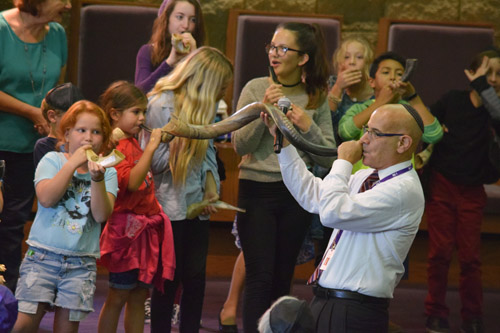 Torah school children at Tifereth Israel Synagogue try to match Rabbi Leonard Rosenthal note for note on the shofar